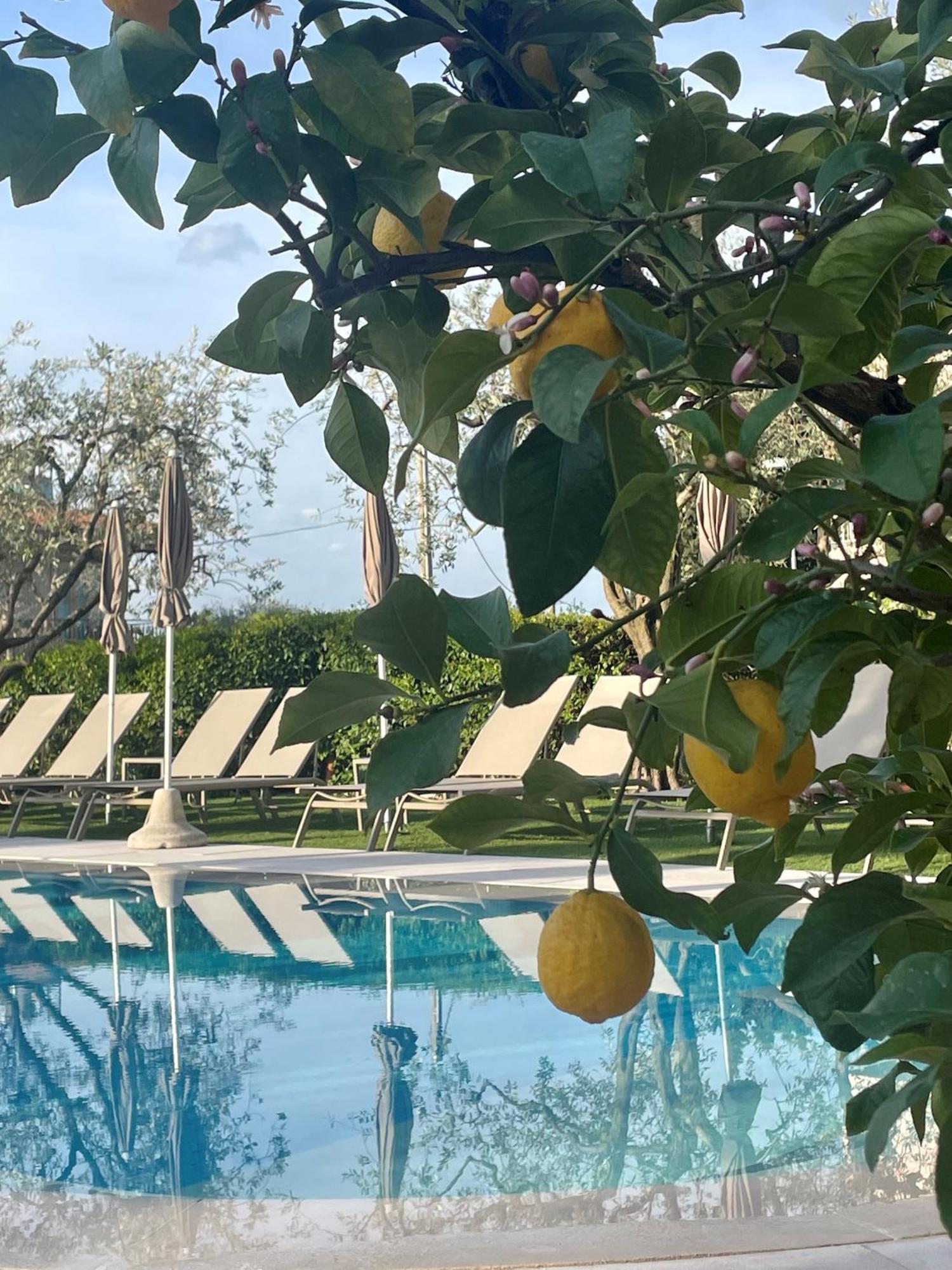 Hotel Al Sole Bardolino Bagian luar foto